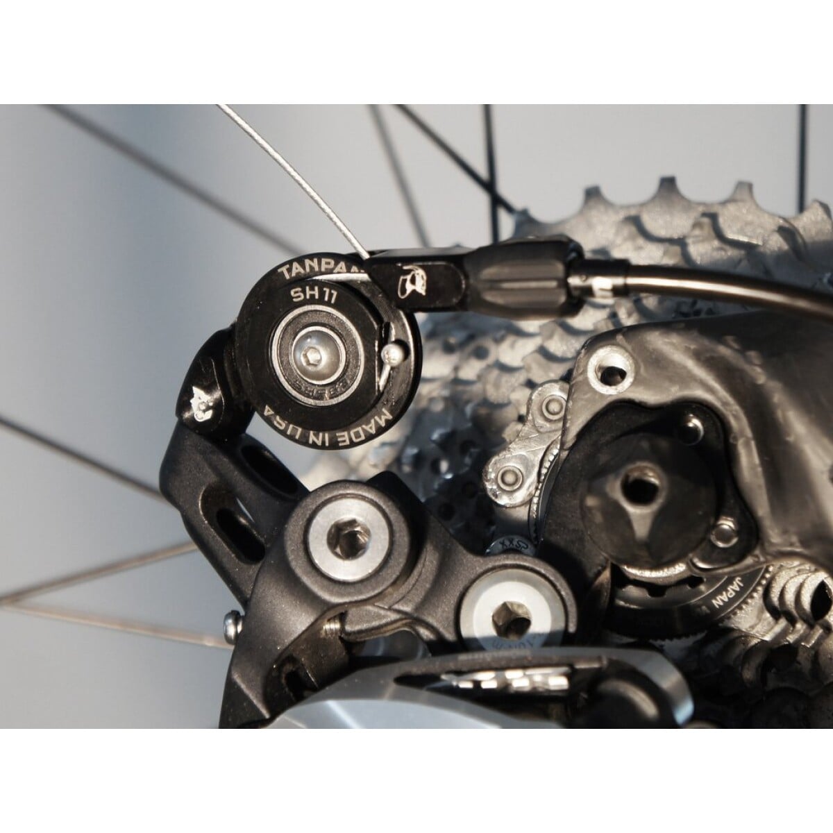 Image of Wolf Tooth Tanpan