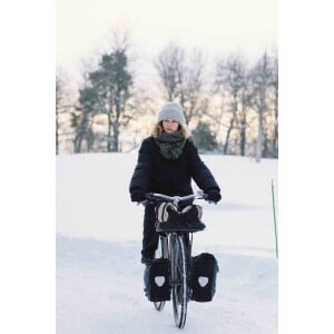 Image of Pelago Lower Pannier Support (for front rack)