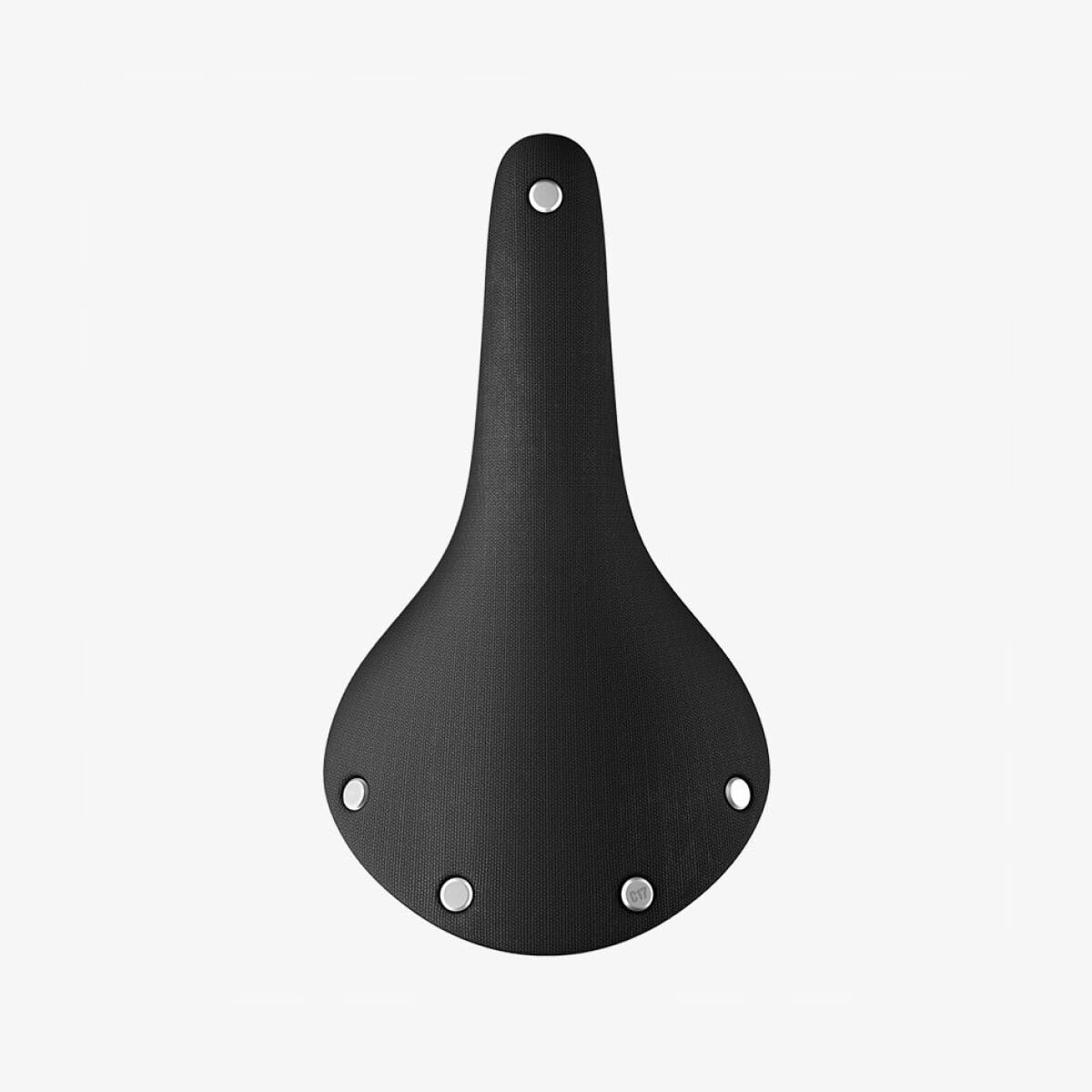 Image of Brooks Cambium C17 Special Black