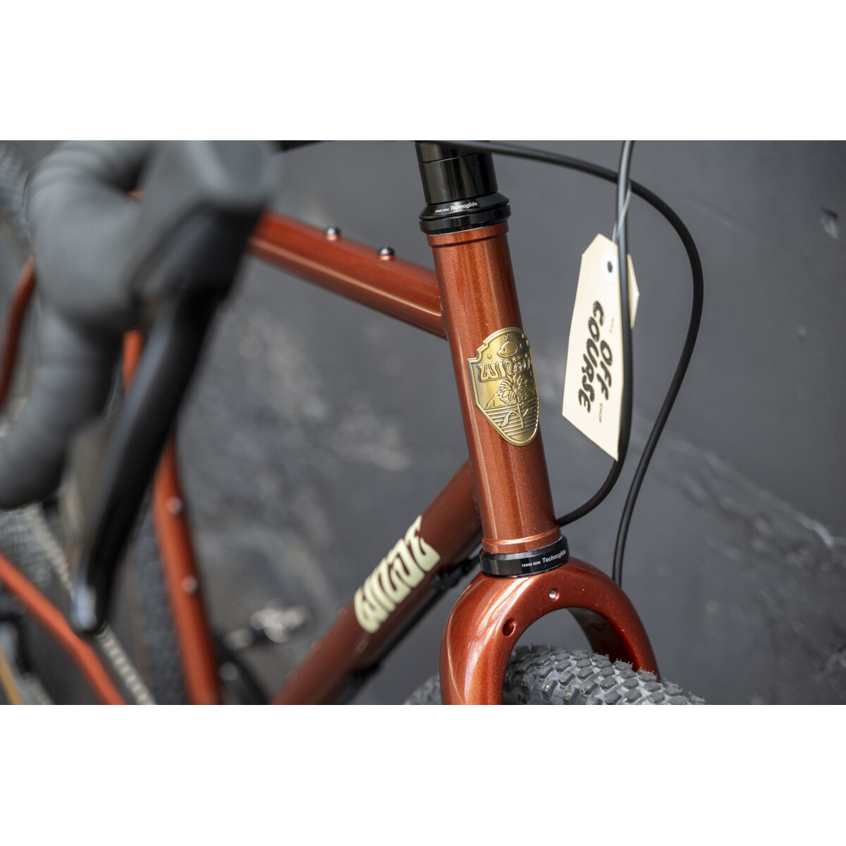 Image of Wilde Rambler SL Rival XPLR Zipp 101