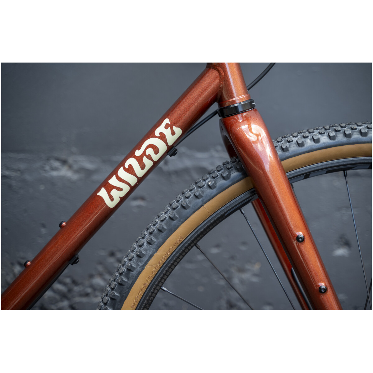 Image of Wilde Rambler SL Rival XPLR Zipp 101