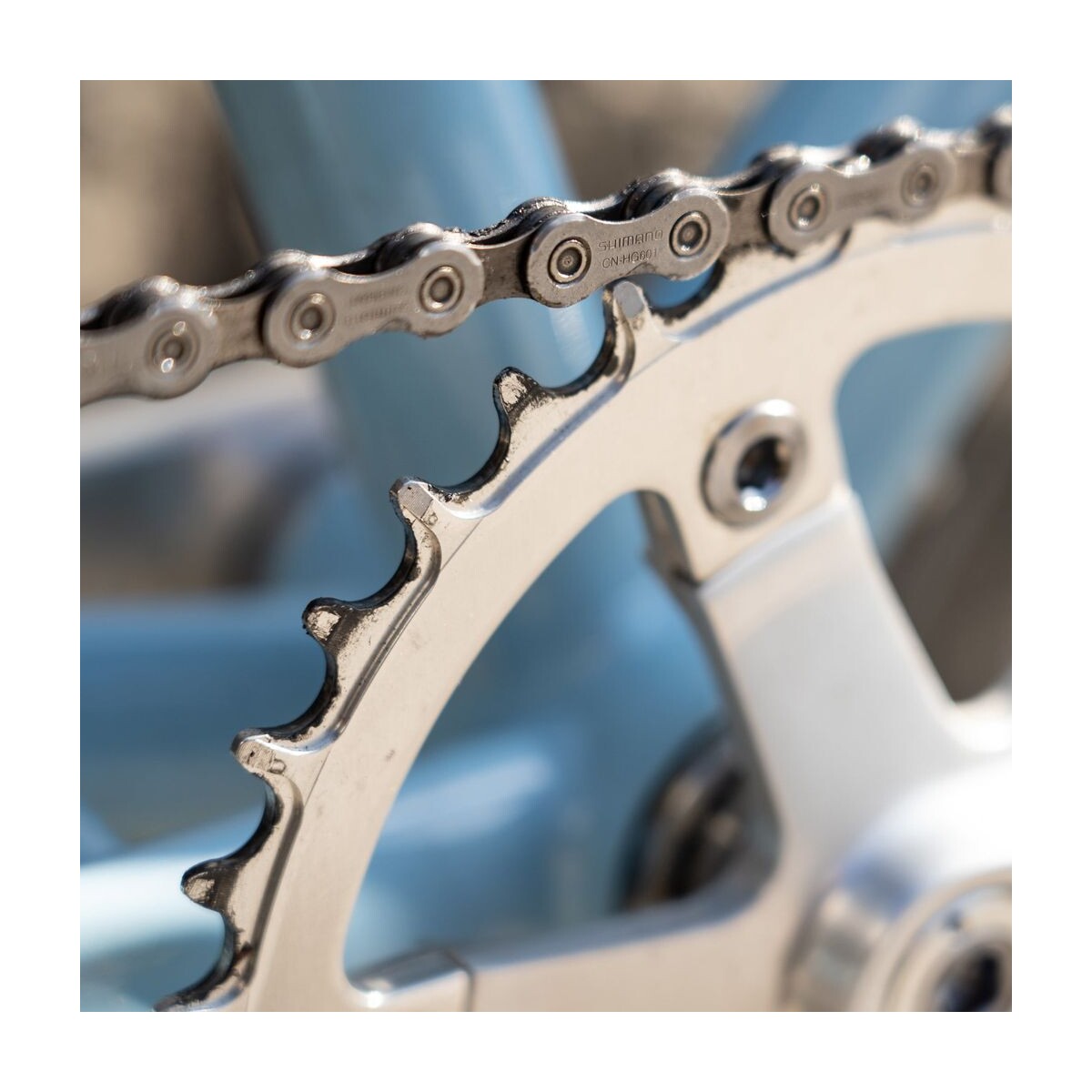 Image of Blue Lug Narrow Wide Chainring 110bcd