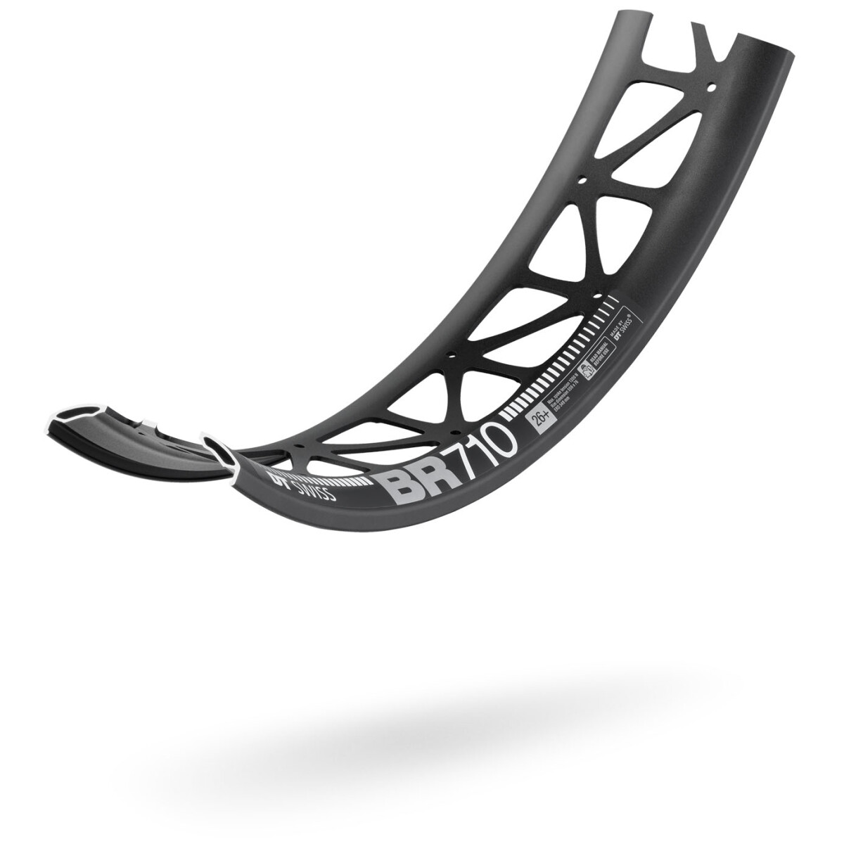 Image of DT Swiss BR710 26in 32h Fatbike!