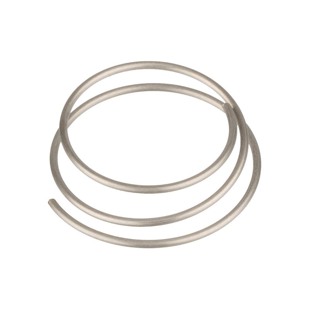 Image of DT Swiss Spring (for 350/240s Star Ratchet)
