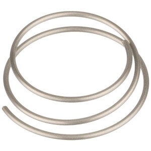 Image of DT Swiss Spring (for 350/240s Star Ratchet)