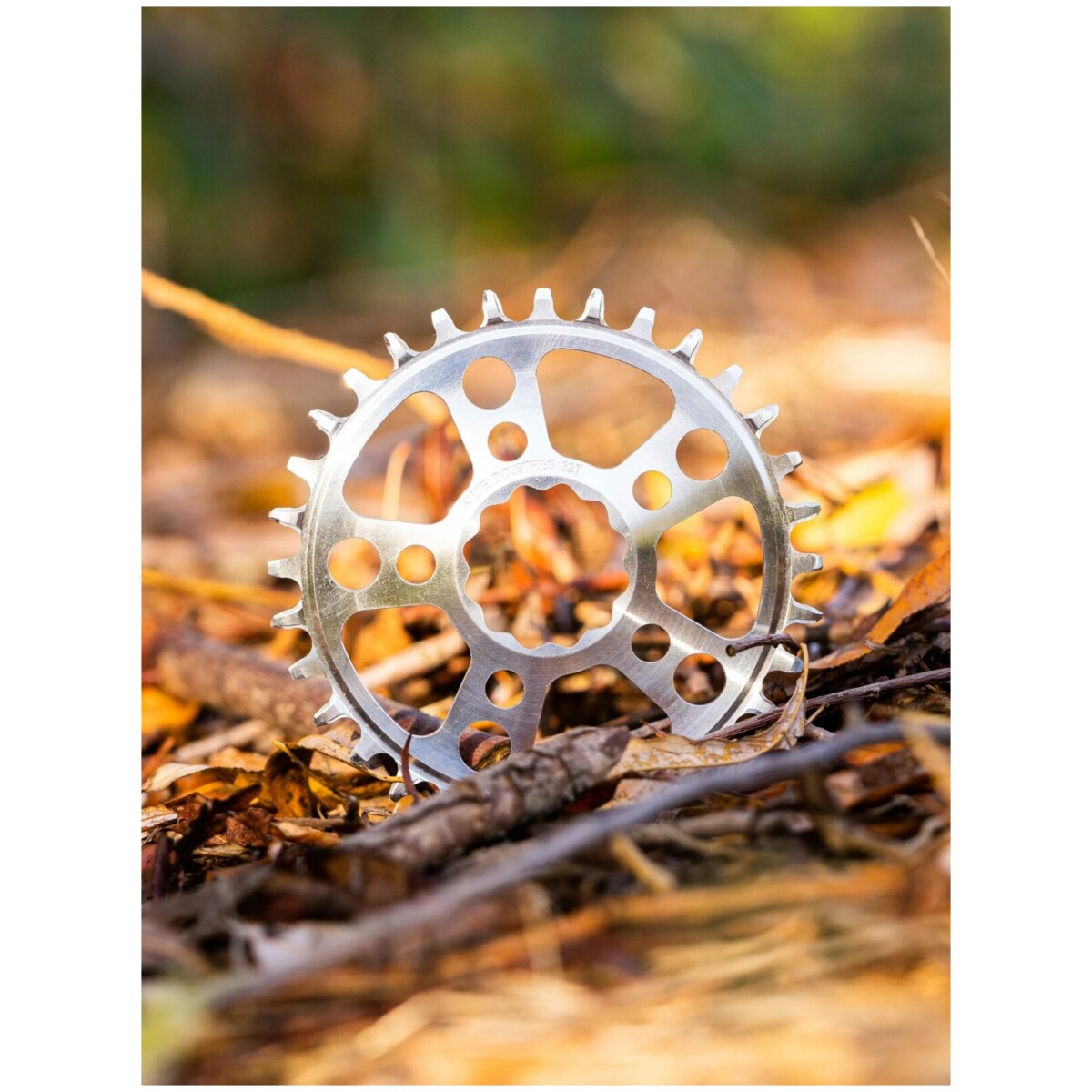 Image of White Industries MR30 TSR Boost Chainring