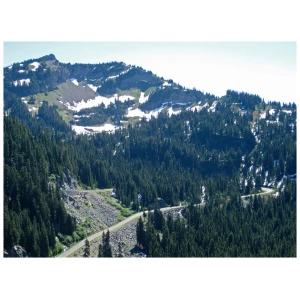 Image of René Herse 700 x 28 Chinook Pass
