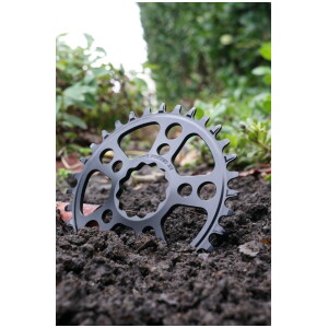 Image of White Industries MR30 TSR Boost Chainring