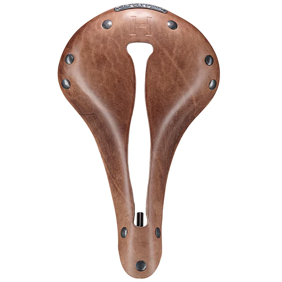 Image of Selle Anatomica H1 Saddle