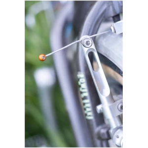 Image of Forager Cycles Cable Cherries
