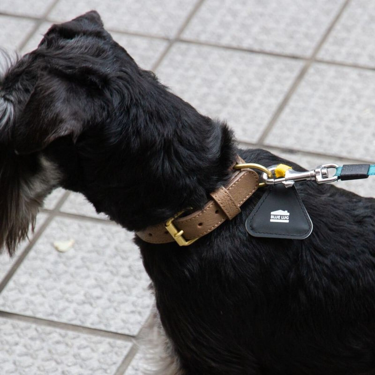 Image of Blue Lug Reflective Mini Triangle - RANDOM Assorted Colours