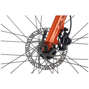 Image of Kona Dew Plus