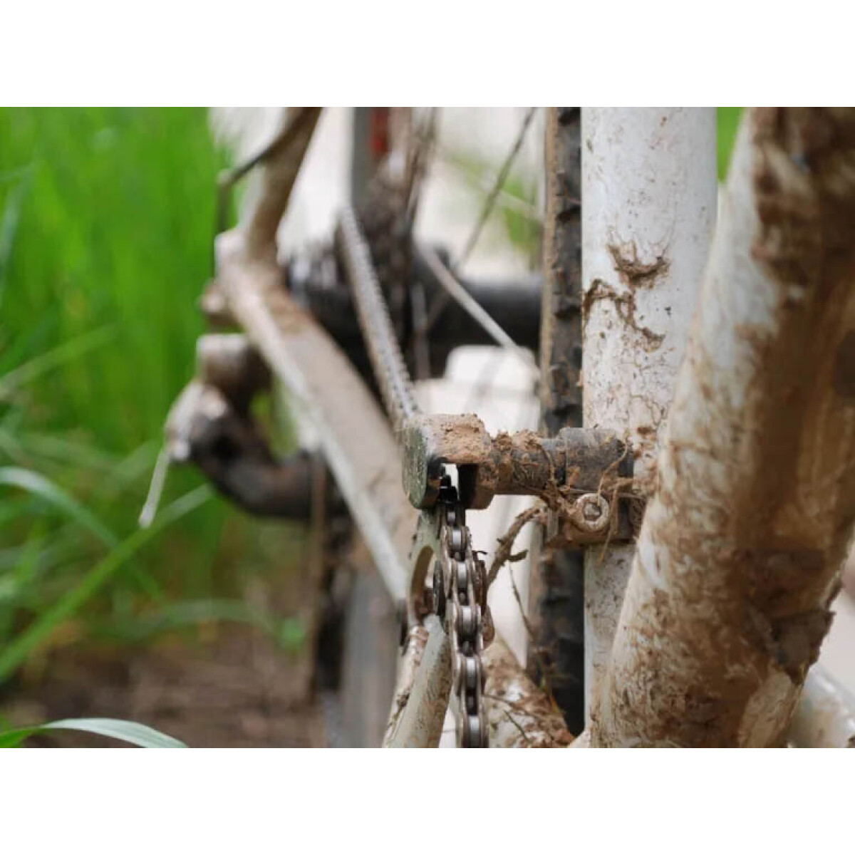 Paul Component Chain Keeper | Off Course Bike Shop Australia