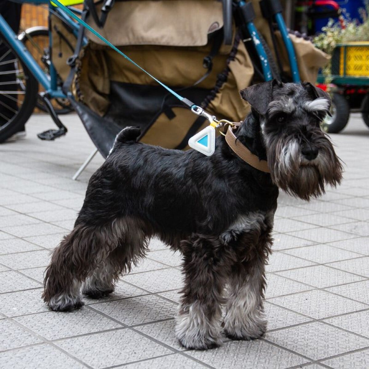 Image of Blue Lug Reflective Mini Triangle - RANDOM Assorted Colours