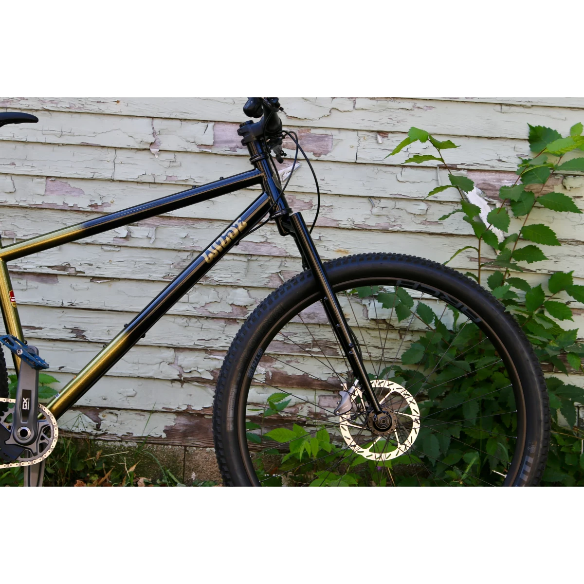 Image of Wilde Dark Star Frameset Gold/Sparkle Black