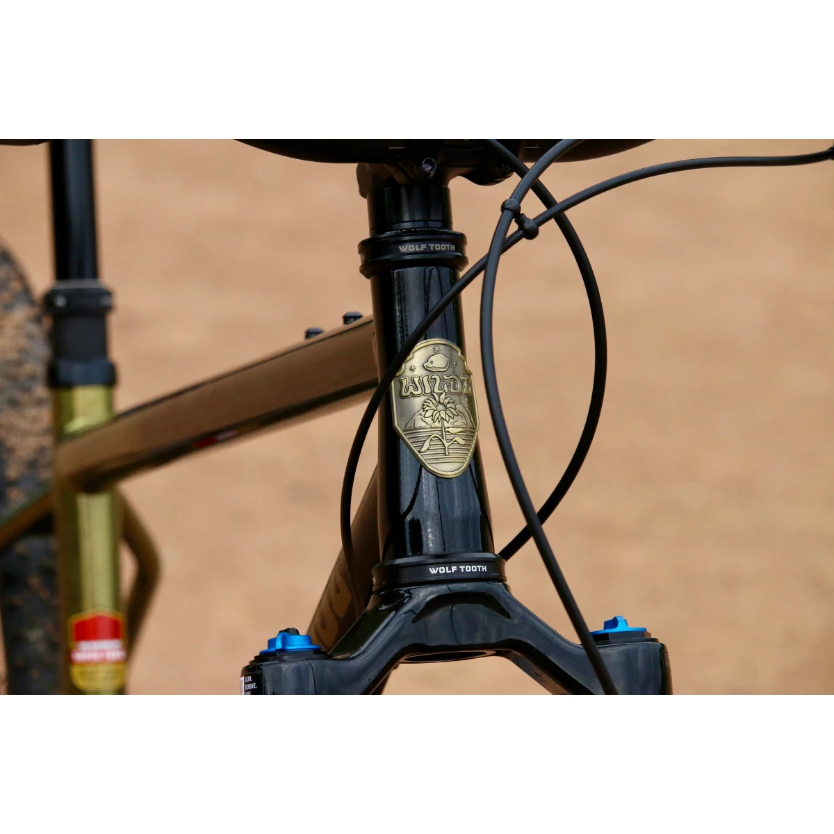 Image of Wilde Dark Star Frameset Gold/Sparkle Black
