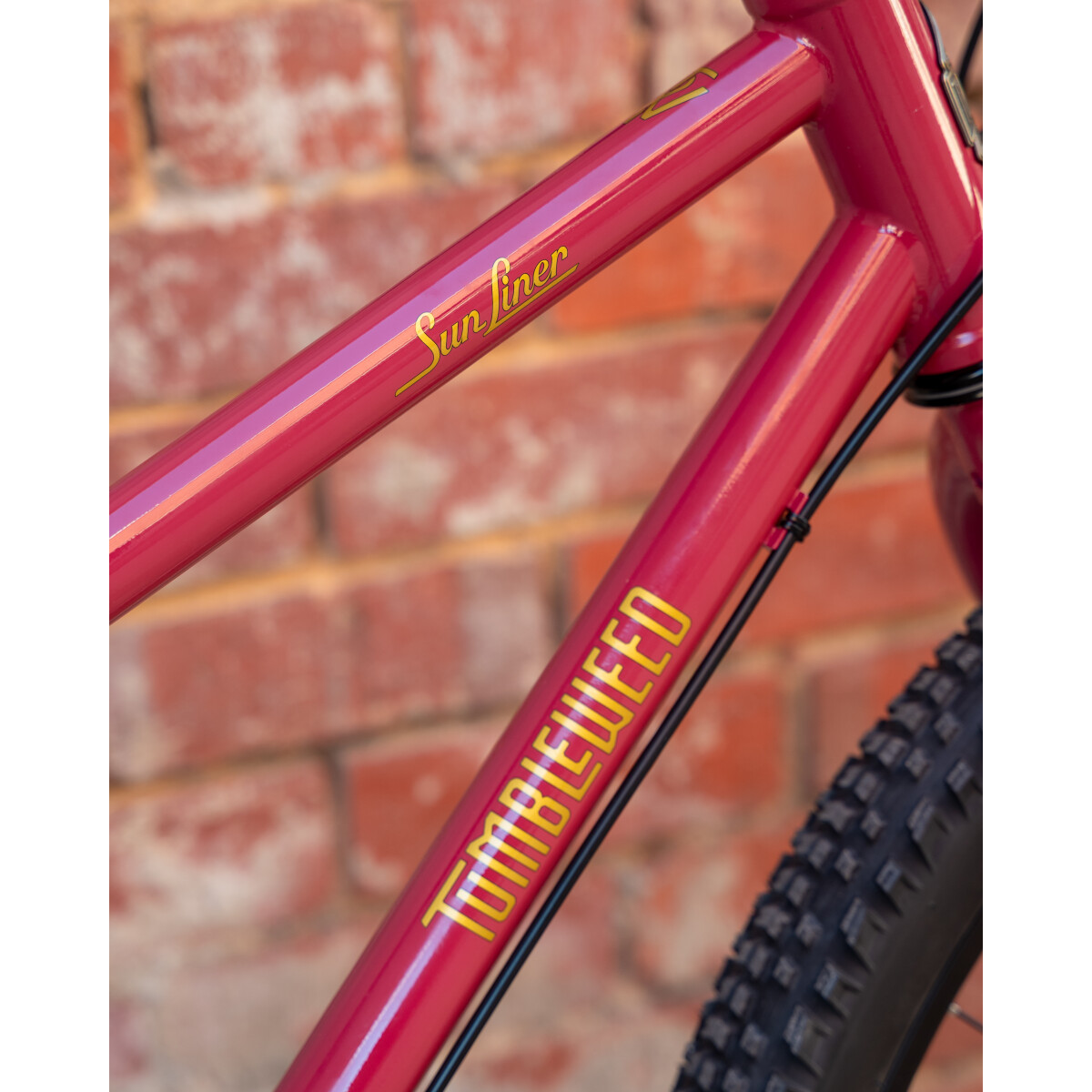 Image of Tumbleweed Sunliner Deore 12 Speed