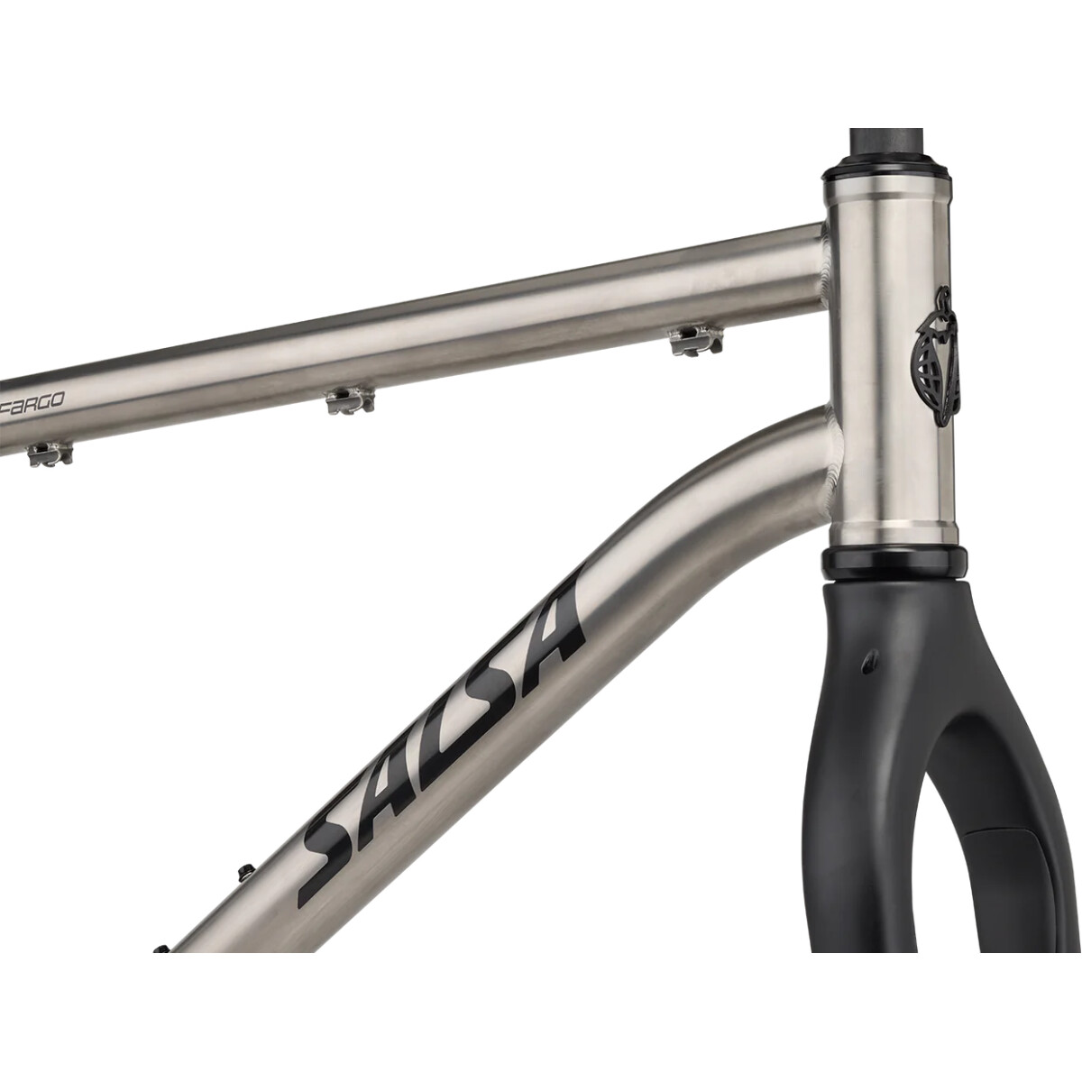 Image of Salsa Fargo Ti Frameset 2025