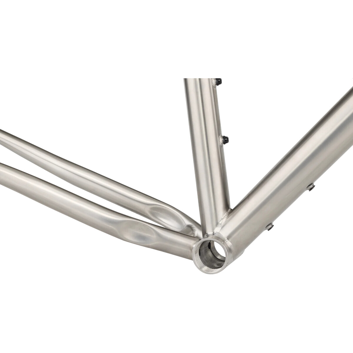 Image of Salsa Fargo Ti Frameset 2025