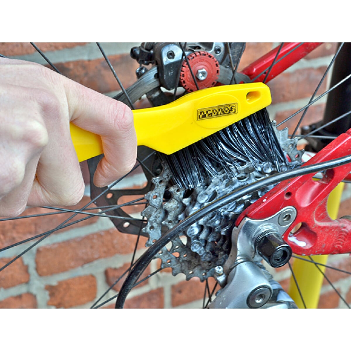 Image of Pedro's Toothbrush