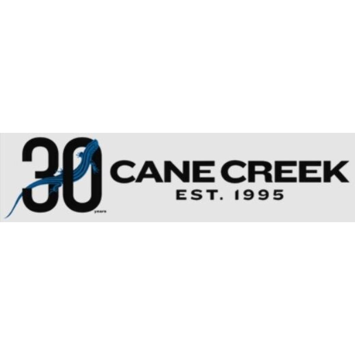 Image of Cane Creek Fork INVERT GRAVEL 40MM CS - Limited Edition 30th Anniversary Blue (BBG0005-CC30)
