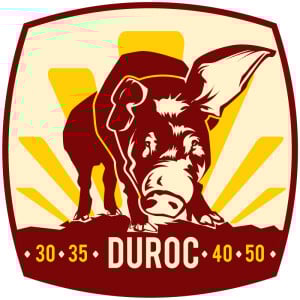 Image of SUNringlé Duroc SD42 29in/622 28H SB Black Rim - Wld (ERD 606)