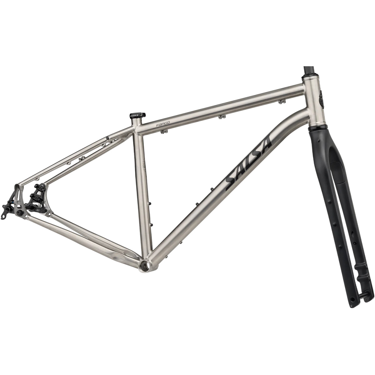 Image of Salsa Fargo Ti Frameset 2025