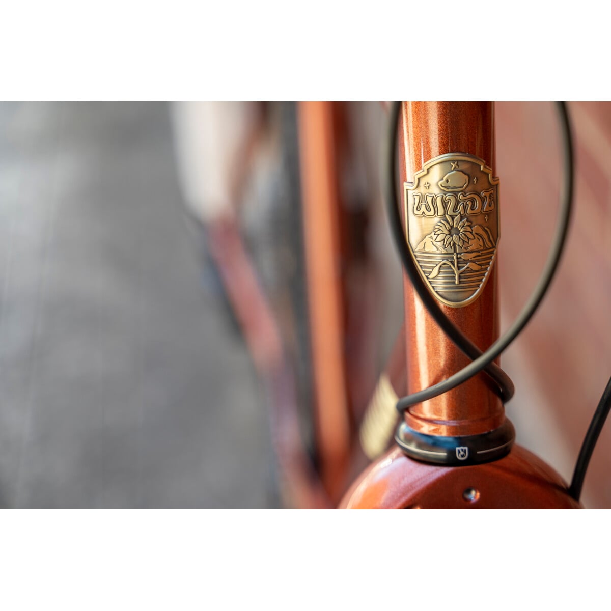 Image of Wilde Rambler SL Copper Bike GRX 12 Speed Complete Build
