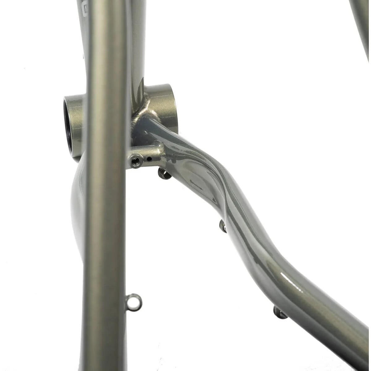 Image of Wilde Rambler Steel Frameset Sage Green Shimmer