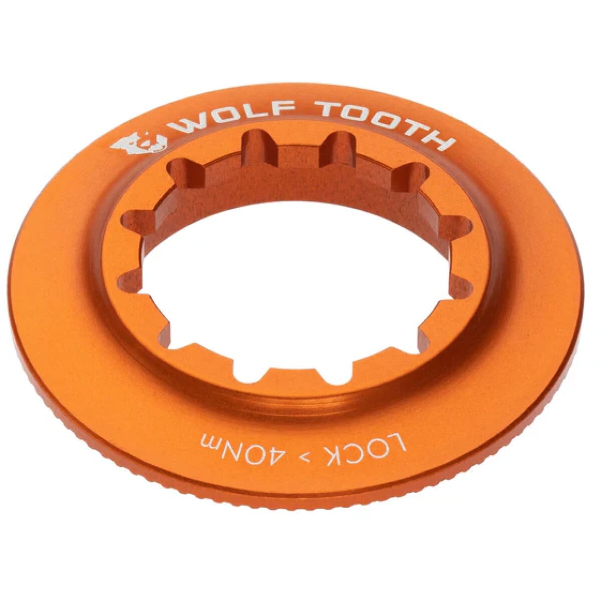 Image of Wolf Tooth Centerlock Rotor Internal Lockring