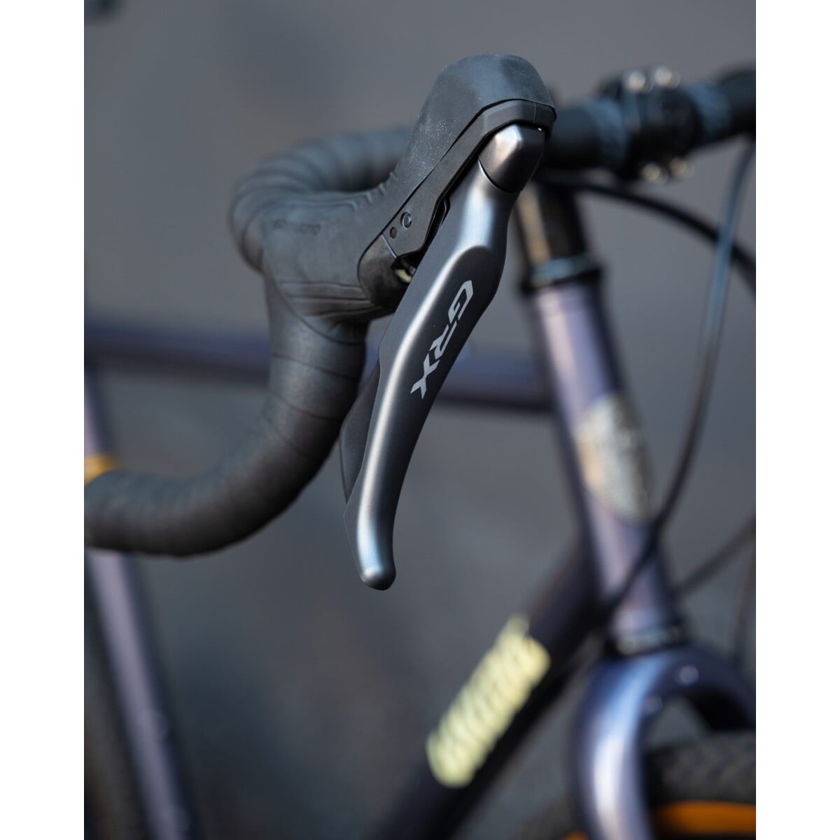Image of Wilde Rambler SL Disco Moondust GRX 12 Speed House Build