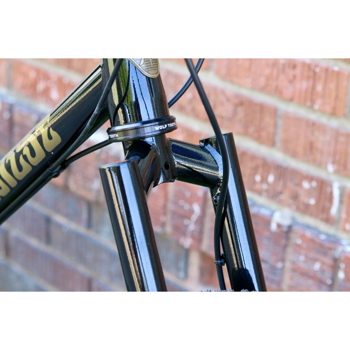 Image of Wilde Dark Star Future Proof Steel Fork Sparkle Black