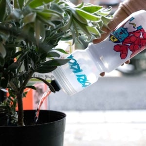 Image of Blue Lug Rokkaku Boywater Bottle (clear)