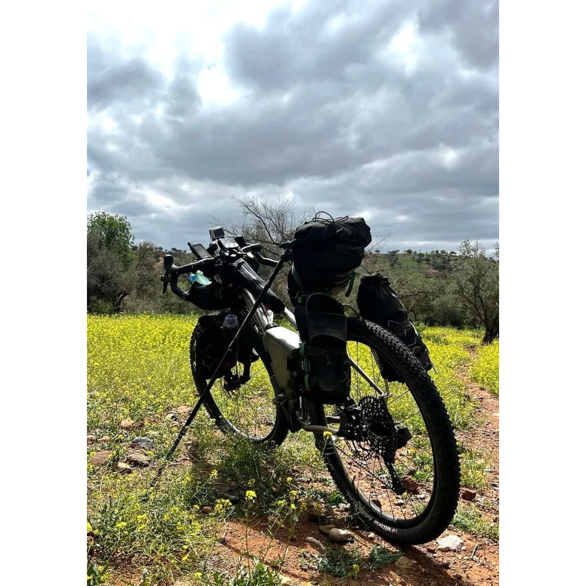 Image of BikeRando Telescopic Bike Stand