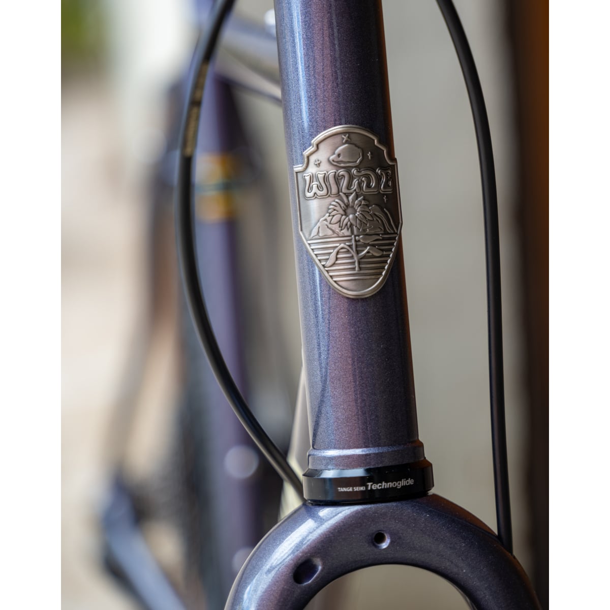 Image of Wilde Rambler SL Bike Disco Moondust GRX Di2 House Build