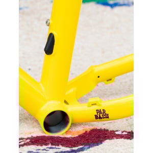 Image of Bassi Coyote Frameset