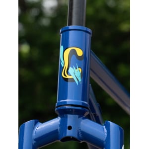 Image of Bassi Coyote Frameset