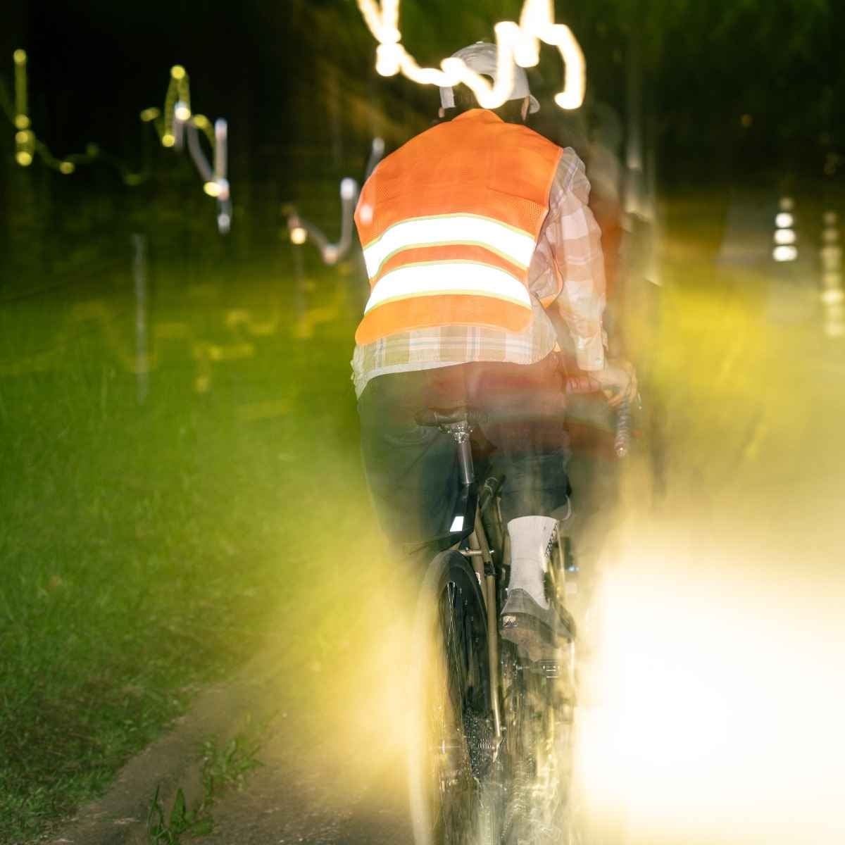 Image of Blue Lug Kangaroo Safety Vest