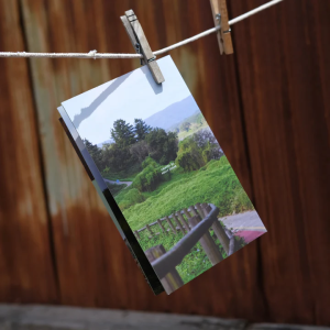 Image of Seoul to Busan Zine