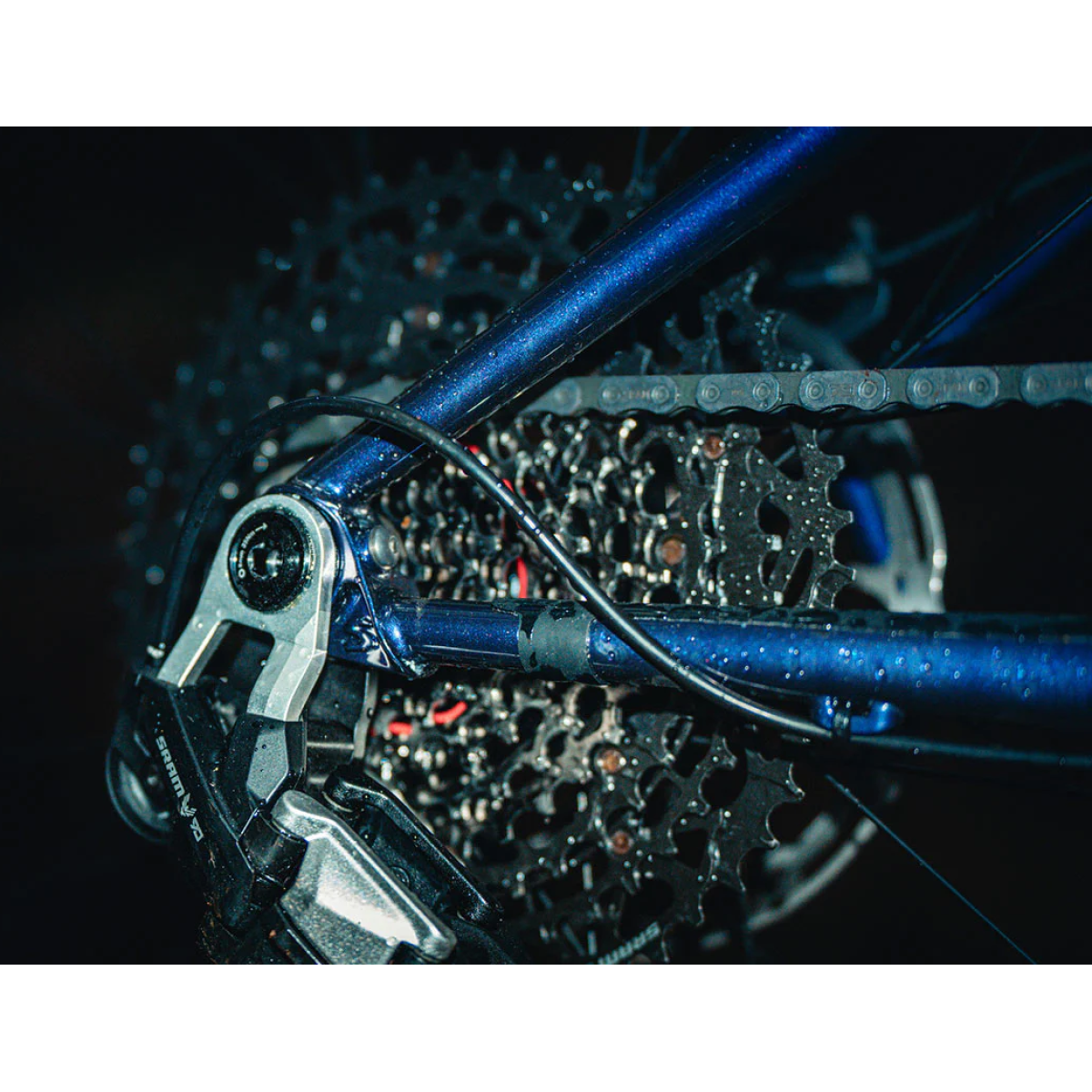 Image of Surly Sorceress Frameset Elderberry Tonic