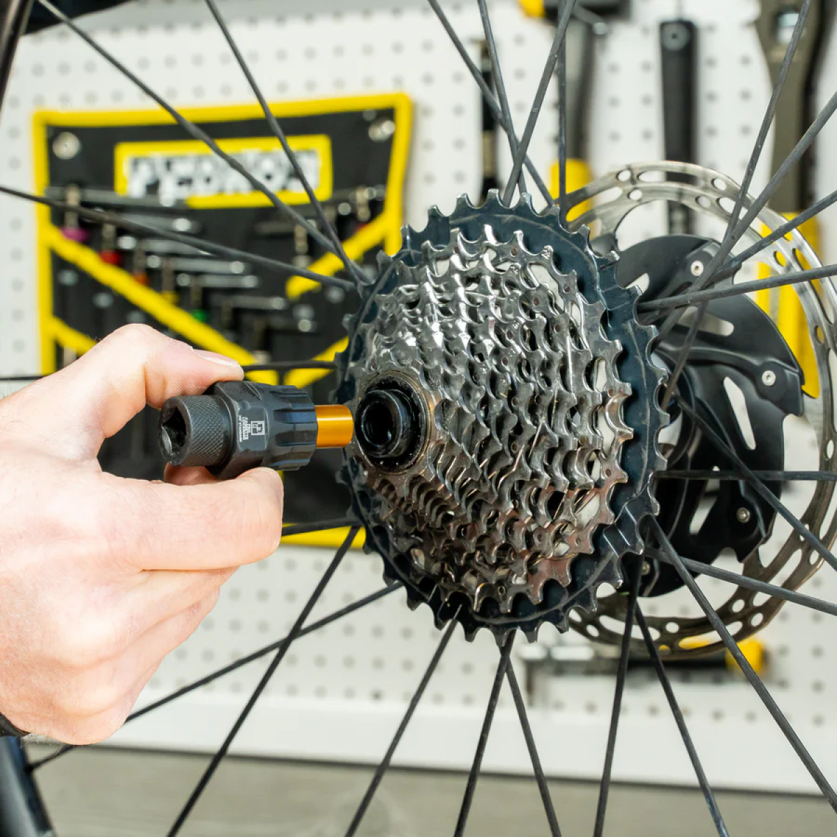 Image of Pedro's Pro Cassette Lockring Socket w/ Pin