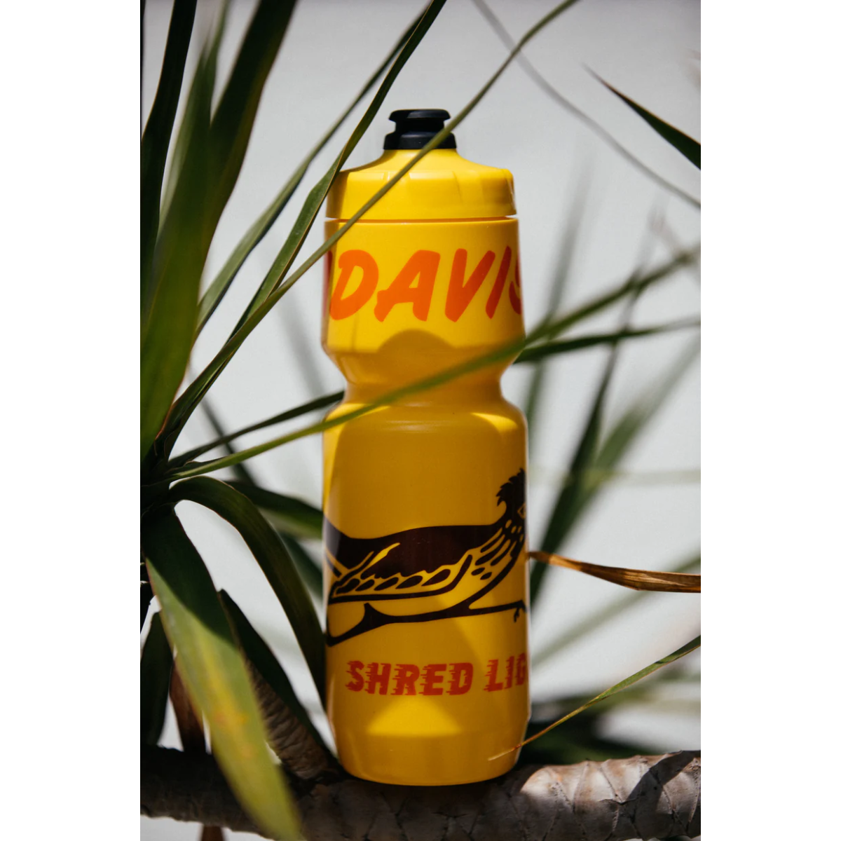 Image of The Radavist Shred Lightly Golden Sunrise Water Bottle