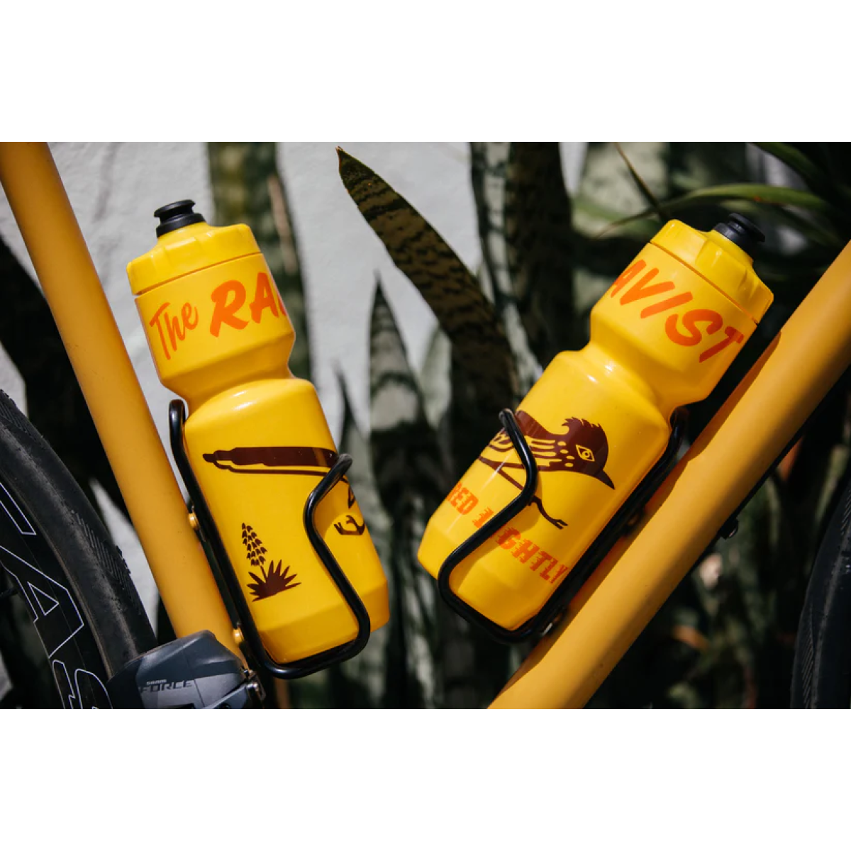 qc1npllhkfqq2hbpxibk.webp Image of The Radavist Shred Lightly Golden Sunrise Water Bottle