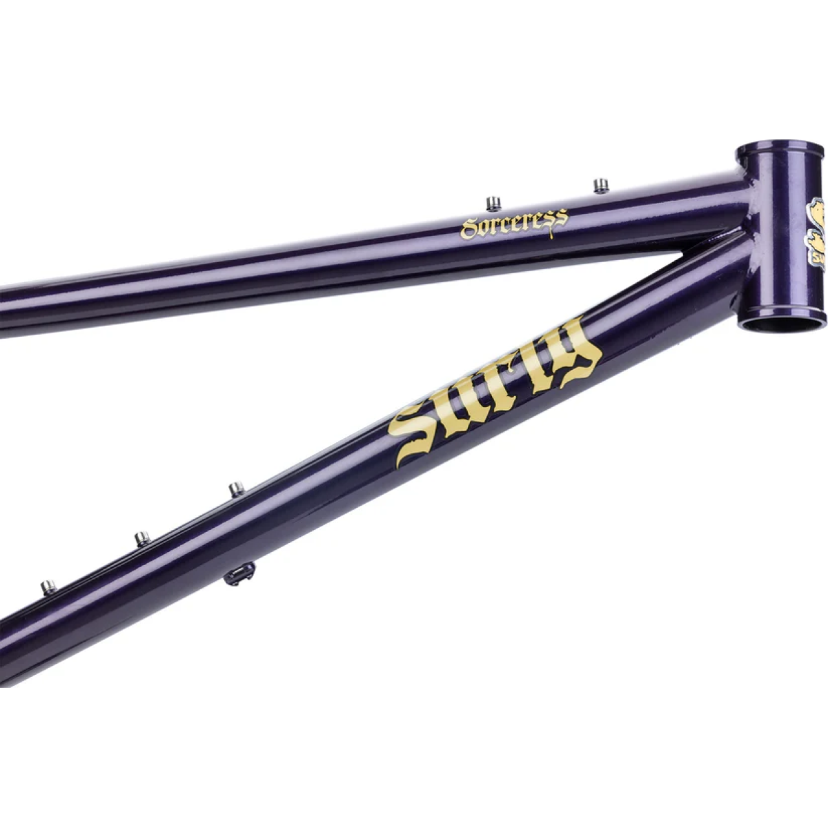 Image of Surly Sorceress Frameset Elderberry Tonic