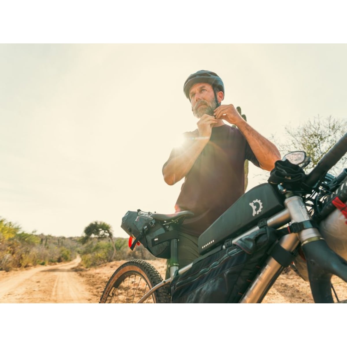 Image of Revelate Extended Play Top Tube Bag